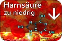 Zu wenig Harnsäure, Blutwert HS vermindert, zu niedrig