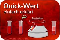 Quick-Wert einfach erklärt: was bedeutet er?